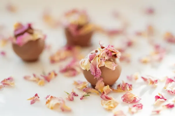 Cazino Bella Vegas Cazinou Aplicație Android/iOS